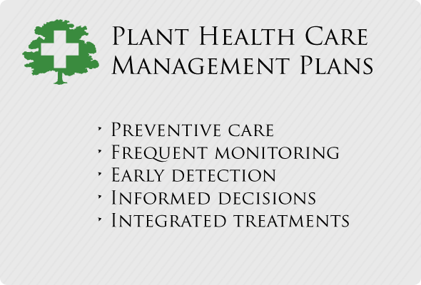 Plant Health Plans