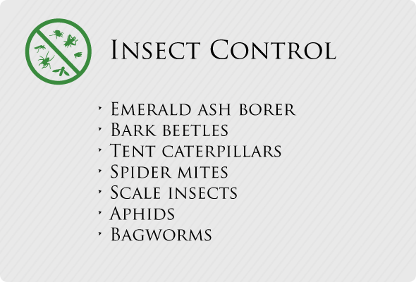 Insect Control
