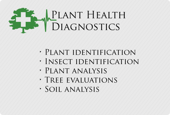 Plant Health Diagnostics